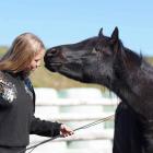 Lina Kurze works with her horse Kaala during a workshop in Taupo last month. Photo: Kelly Wilson