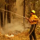 A firefighter tries to contain part of the Park fire in Lyonsville, California. PHOTOS: REUTERS
