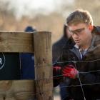 Charing Cross dairy farmer George Dodson carrying out fencing in a farmlet challenge leading up...