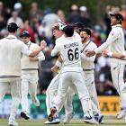 New Zealand took on Australia at Hagley Oval in March. Photo: Kai Schwoerer/Getty Images