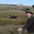 Farmer John Beattie, of Karitane, wants the government to maintain a ban on live exports. PHOTO:...