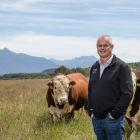 Beef + Lamb genetics specialist Jason Archer is encouraging farmers to nominate bulls for an...