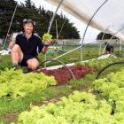 Vern Paddock Project co-owner Jed Tweedie is remaining busy as his customers buy more produce....