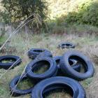 Some of the tyres dumped at one of two locations on Waipori Falls Rd earlier this winter, which...