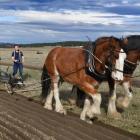 Photo: Stephen Jaquiery