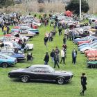 Cars lined up at Amberley Domain during last year’s Rock‘n’Wheels meet. Photo: File image