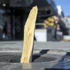 One of three beech trees snapped in George St in an act of apparent vandalism. The Dunedin City...