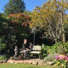 Rod Eales in her Upper Junction garden. PHOTOS: GILLIAN VINE