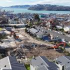 Kāinga Ora  had planned to redevelop its block of 16 homes at 118 Carroll St, in central Dunedin,...