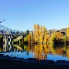 Central Otago. Photo by Mike Kindon