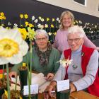 Among the daffodils at the Winton Flower Show last year are (from left) Denice McPherson, Maria...