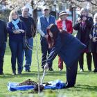Dunedin Central Rotary Club president April Eden helps plant a ginkgo tree which can be traced...