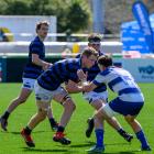 Blindside flanker Joshua Purdon carries the ball into contact for the Light Bears. PHOTO: JAMES...