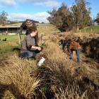 Making their community a better place to live, people take part in a community planting day on...