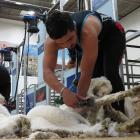 Shearer Shaun Goosen, of Bloemfontein, South Africa, competes in the senior machine shearing...