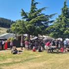 Viticulturists and winemakers are hoping for another sunny day for the 2024 Alexandra Basin wine...