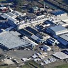 The Pukeuri meat works in Oamaru handled more than 71,000 cattle in the beef season that finished...
