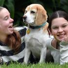 Stella, the beagle, and her owners Frankie and Ruby are ready to tune in to New Zealand’s first...