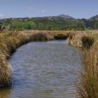 The Te Kuru Wetlands will be officially opened on October 11. Photo: Newsline