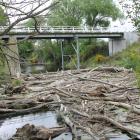 Trees and branches are piling up for at least 50m by the Tuapeka Mouth bridge in the Tuapeka...