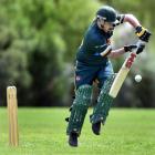 On the back foot . . . Green Island batter Joel Meade fends off a rising delivery against CDK at...