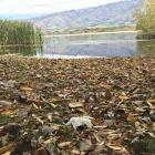Rocky Point at the head of Lake Dunstan. PHOTO: ODT FILES