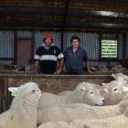 Inspecting Romney rams set for sale are Merrydowns owner Blair Robertson, left, and his son Jack....