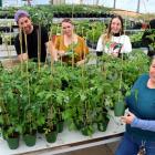 Otago Polytechnic lecturer Kim Thomas and horticulture students (from left) Tabitha Hall, Michael...