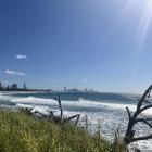 The view from Burleigh headland looking north along the Gold Coast beaches. PHOTOS: DENISE STEPHENS
