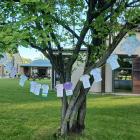 T-shirts with slogans reflecting the impact of family harm were hung at a White Ribbon breakfast,...