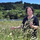 West Harbour community board member Kristina Goldsmith stands in the middle of an undeveloped...