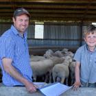 Arkley Farm owner Pete Gardyne and son Aaron, 4, read genetic evaluation data of their Poll...