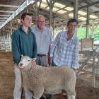Annabel Tripp presents the Perendale ram she sold for $19,000 to John Henricksen (centre). The...
