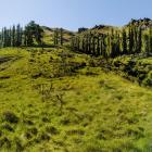 This property for sale is one of the Whakatipu’s most remote. PHOTO: SUPPLIED