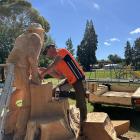Blenheim artist Jakob Stadler works on a gold miner sculpture in the Naseby playground. The...
