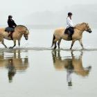 Riding Norwegian fjord  horses at a beach near Warrington yesterday  are (from left) Ariana...