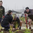 The native trees were planted by volunteers, community planting groups and city council rangers....