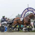 One Change looks the one to beat in the Northern Southland Cup at Ascot Park tomorrow. Photo: HRNZ