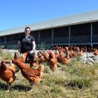 Photos: Shawn McAvinue