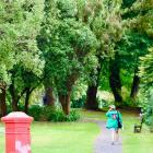 The Dunedin Town Belt is a green belt covering about 200ha, filled with native and exotic trees,...
