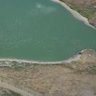 800 molting paradise shelduck on this Central Otago irrigation dam. PHOTO: BRUCE QUIREY, OTAGO...