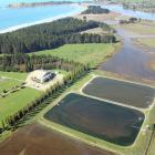 The Waikouaiti wastewater treatment plant. PHOTO: SUPPLIED