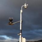 Metris run 3000 sensors in its network to calibrate its award-winning spray forecast and other...