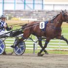 Tim Williams will drive Built For Glory when they chase victory in the Wairio Cup at Winton...