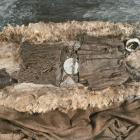 The Egtved woman, who died 3395 years ago. Photos: The National Museum of Denmark