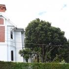The removal of this protected pōhutukawa tree in the grounds of Roslyn heritage house "Mahara",...