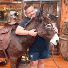 Dougal the donkey is going under the hammer this weekend, although Proctor Auctions owner Ronnie...