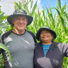 Riverside Farms manager John Smart and his partner, Rhizzy Aburquez, pictured in a towering maize...