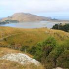 Otago Peninsula looking over Hoopers Inlet and Poatiri/Mt Charles will be part of a multi...