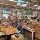 Volunteer book sorters work their way through boxes of donated books as preparations ramp up for...